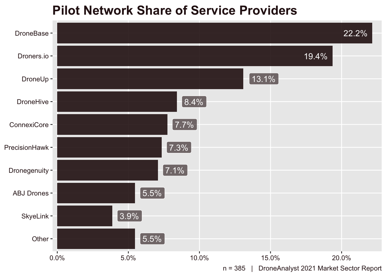 Pilot Network Share of Service Providers