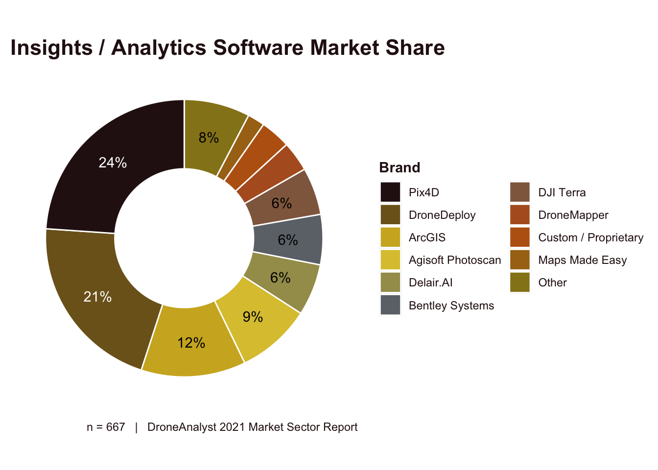 Insights / Analytics Software Market Share